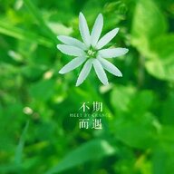 wuhaotdcq