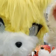 BXAF翁